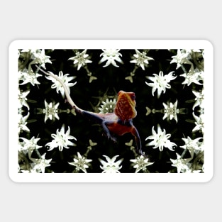 Edelweiss & Lizard / Swiss Artwork Photography Sticker